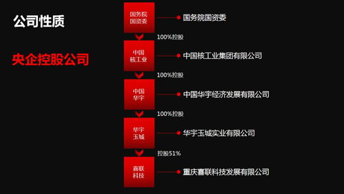 新囍聯新產品新模式渠道商啟動大會圓滿召開，開啟互聯網數據服務新篇章